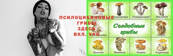 ешки Нягань